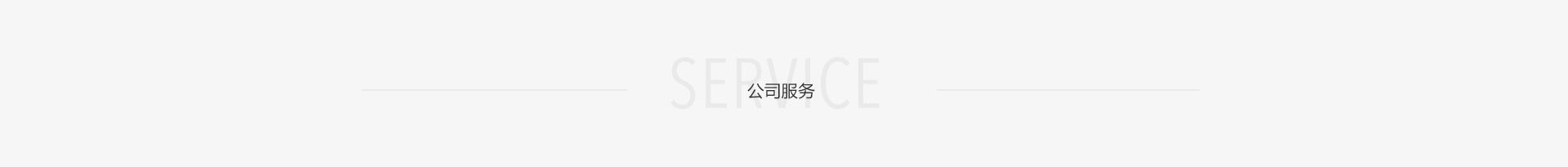公司服務(wù)